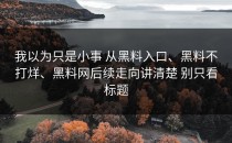 我以为只是小事 从黑料入口、黑料不打烊、黑料网后续走向讲清楚 别只看标题
