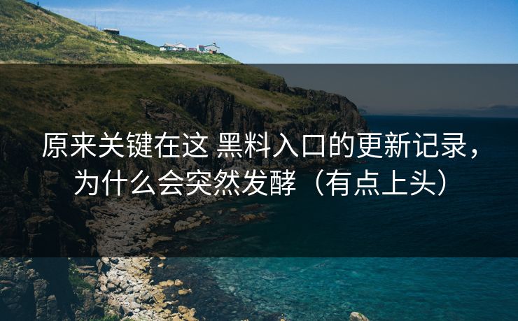 原来关键在这 黑料入口的更新记录，为什么会突然发酵（有点上头）  第1张