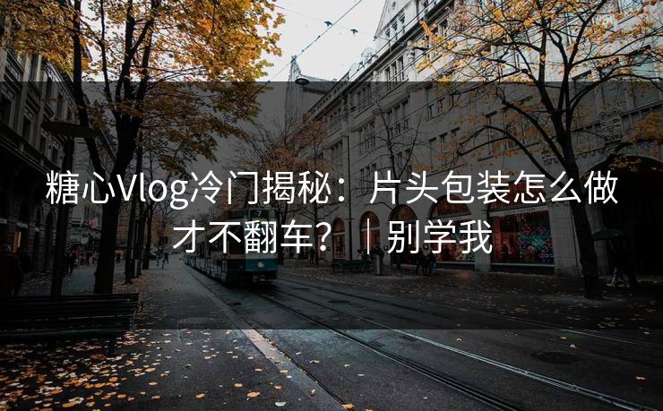 糖心Vlog冷门揭秘：片头包装怎么做才不翻车？｜别学我  第1张