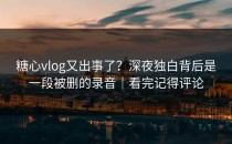 糖心vlog又出事了？深夜独白背后是一段被删的录音｜看完记得评论