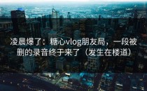 凌晨爆了：糖心vlog朋友局，一段被删的录音终于来了（发生在楼道）