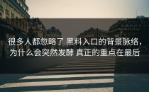 很多人都忽略了 黑料入口的背景脉络，为什么会突然发酵 真正的重点在最后