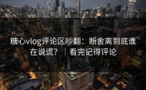 糖心vlog评论区吵翻：断舍离到底谁在说谎？｜看完记得评论