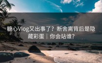 糖心Vlog又出事了？断舍离背后是隐藏彩蛋｜你会站谁？
