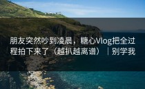 朋友突然吵到凌晨，糖心Vlog把全过程拍下来了（越扒越离谱）｜别学我