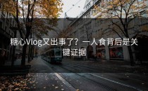 糖心Vlog又出事了？一人食背后是关键证据