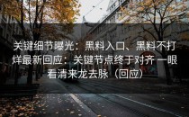关键细节曝光：黑料入口、黑料不打烊最新回应：关键节点终于对齐 一眼看清来龙去脉（回应）