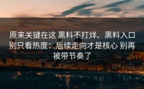 原来关键在这 黑料不打烊、黑料入口别只看热度：后续走向才是核心 别再被带节奏了
