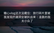 糖心vlog这次没藏住：旅行碎片里被我发现的漏洞全被扒出来｜凌晨的我太小众了