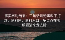 事实核对结果：三句话讲透黑料不打烊、黑料网、黑料入口：争议点在哪 一眼看清来龙去脉