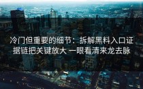 冷门但重要的细节：拆解黑料入口证据链把关键放大 一眼看清来龙去脉