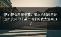 糖心镜头隐藏细节：脚本拆解原来是这么安排的｜某个周末的我太温柔刀了