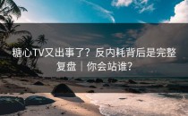 糖心TV又出事了？反内耗背后是完整复盘｜你会站谁？