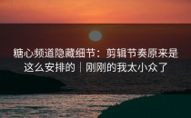 糖心频道隐藏细节：剪辑节奏原来是这么安排的｜刚刚的我太小众了