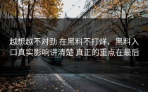 越想越不对劲 在黑料不打烊、黑料入口真实影响讲清楚 真正的重点在最后