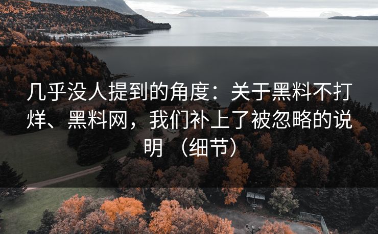 几乎没人提到的角度：关于黑料不打烊、黑料网，我们补上了被忽略的说明 （细节）  第1张