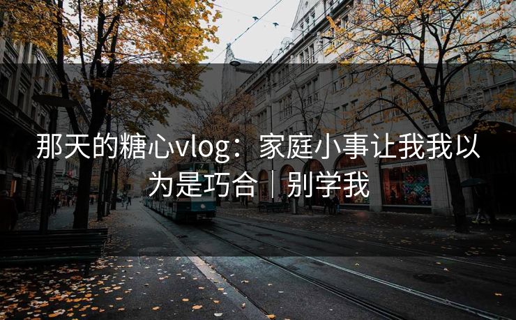 那天的糖心vlog：家庭小事让我我以为是巧合｜别学我  第1张
