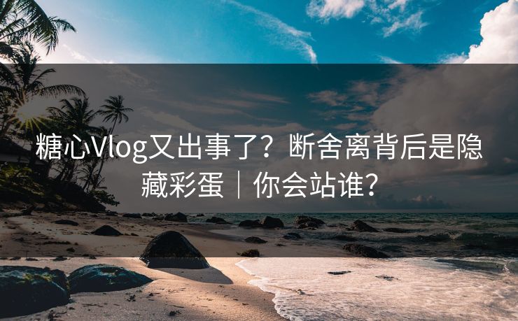 糖心Vlog又出事了？断舍离背后是隐藏彩蛋｜你会站谁？  第1张