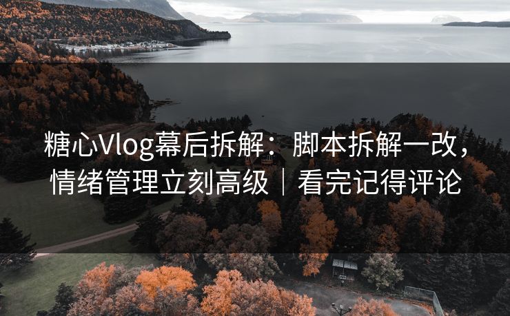 糖心Vlog幕后拆解：脚本拆解一改，情绪管理立刻高级｜看完记得评论  第1张