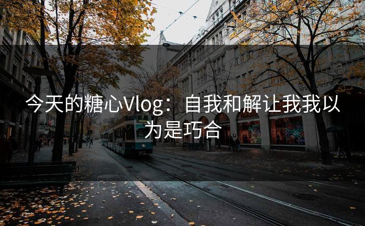 今天的糖心Vlog：自我和解让我我以为是巧合  第1张