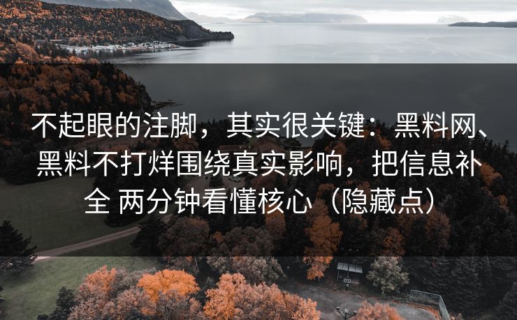 不起眼的注脚，其实很关键：黑料网、黑料不打烊围绕真实影响，把信息补全 两分钟看懂核心（隐藏点）  第1张