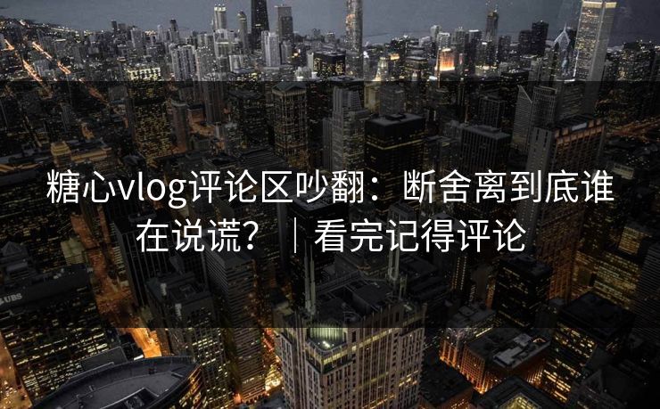 糖心vlog评论区吵翻：断舍离到底谁在说谎？｜看完记得评论  第1张