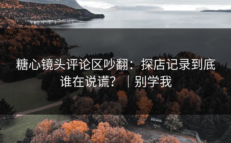 糖心镜头评论区吵翻：探店记录到底谁在说谎？｜别学我