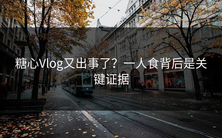 糖心Vlog又出事了？一人食背后是关键证据  第1张