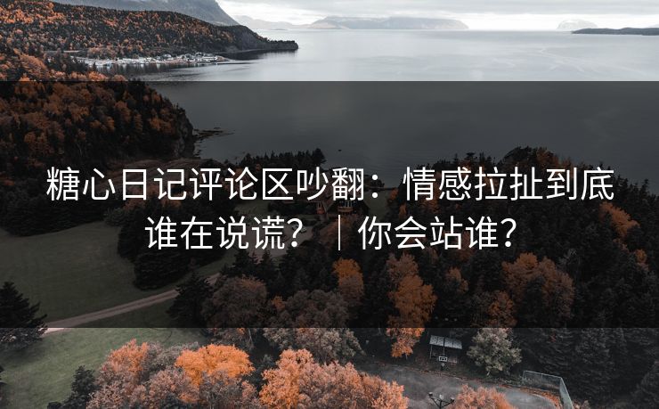 糖心日记评论区吵翻：情感拉扯到底谁在说谎？｜你会站谁？  第1张