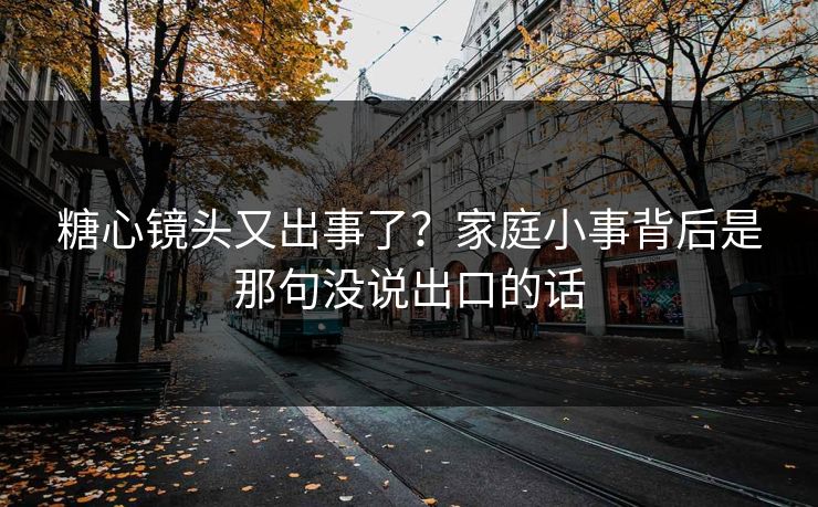 糖心镜头又出事了？家庭小事背后是那句没说出口的话
