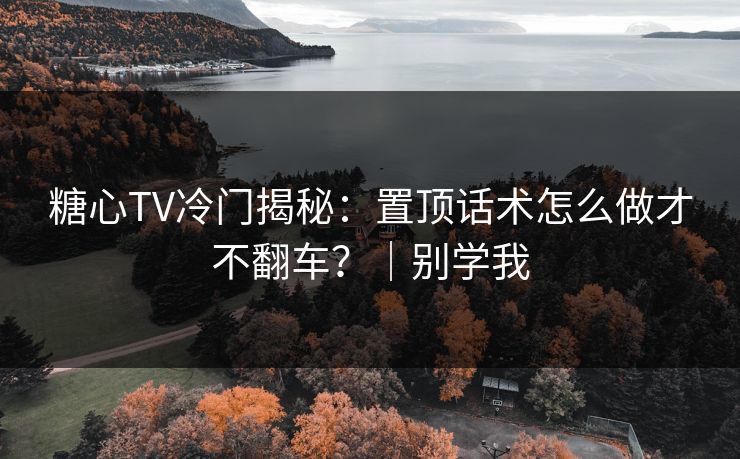 糖心TV冷门揭秘：置顶话术怎么做才不翻车？｜别学我  第1张